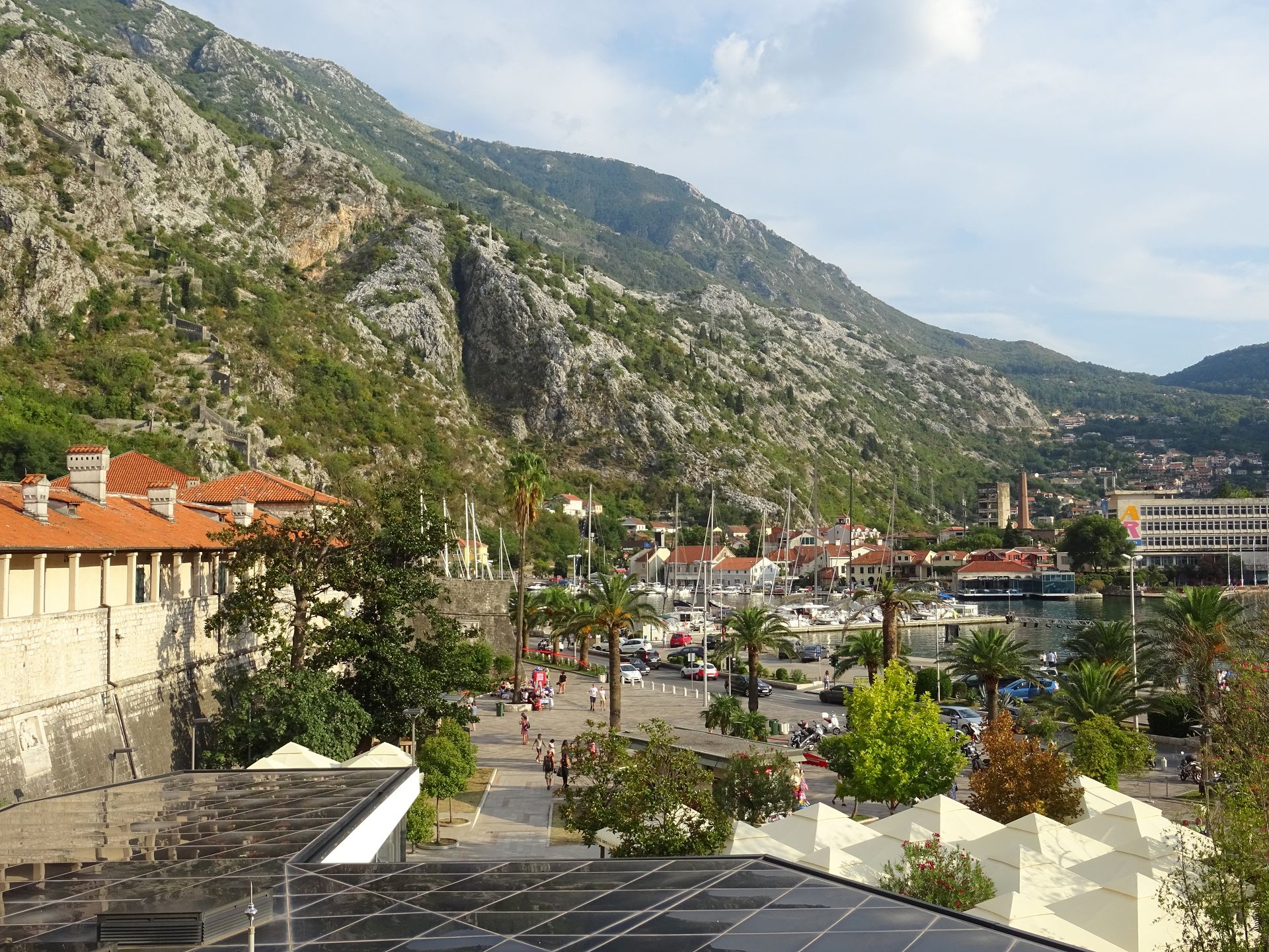 Kotor